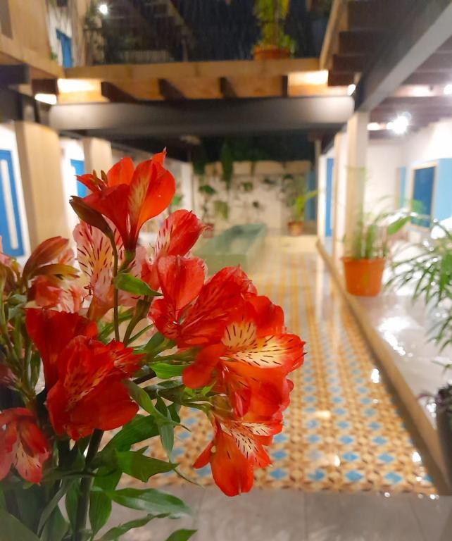 Fotografie z fotogalerie ubytování Hotel Pepen v destinaci San Cristóbal de Las Casas