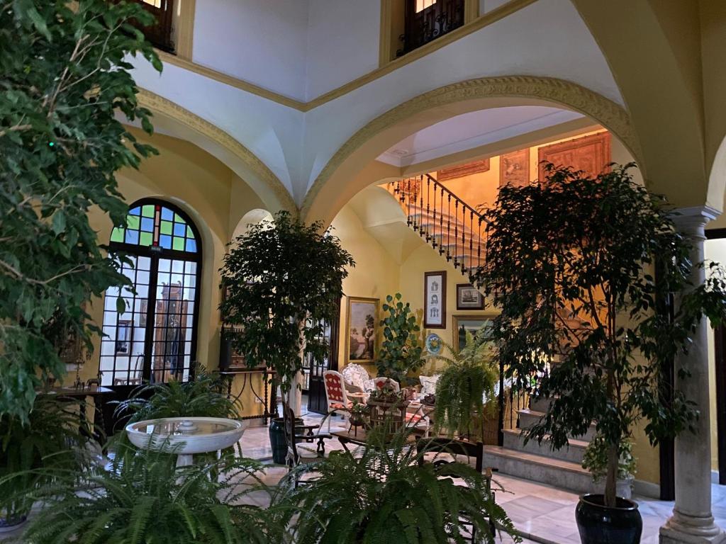 Zahrada ubytování Casa San José
