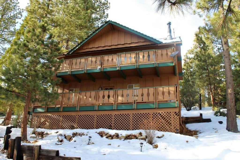a large wooden building in the snow with trees at Paradise Cabin in Big Bear City