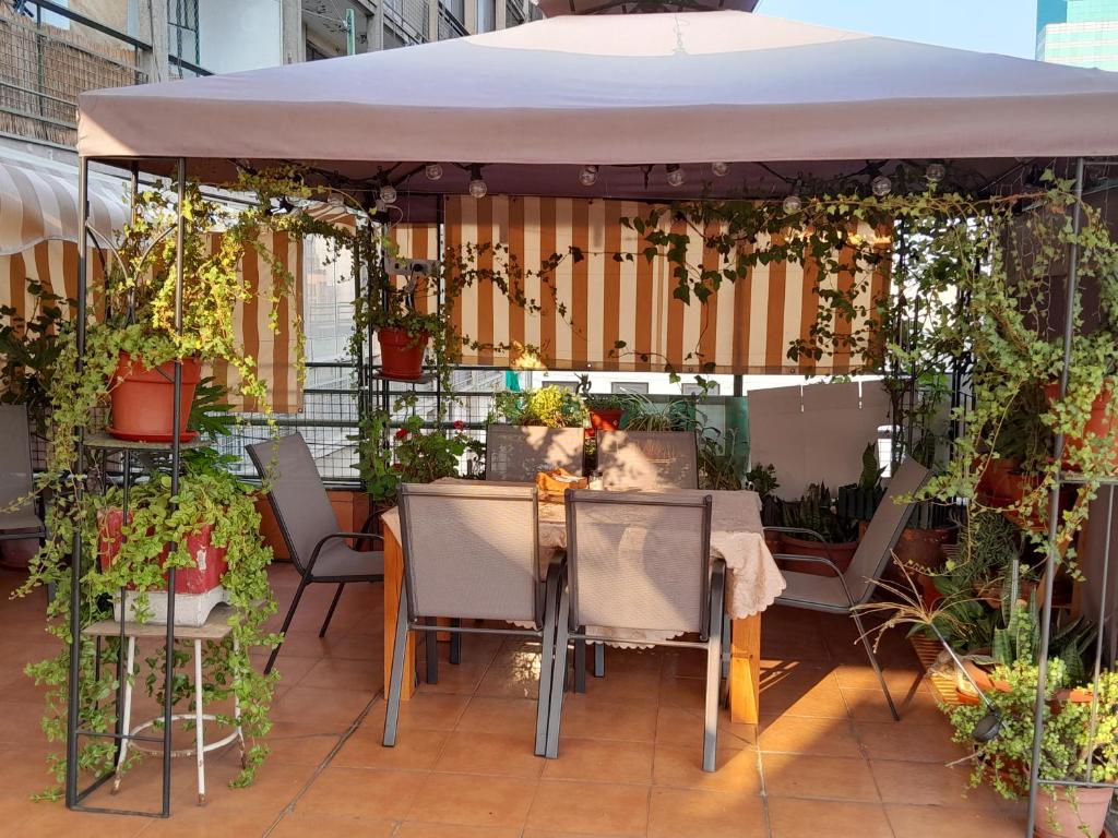 Fotografie z fotogalerie ubytování Terraza Santa Lucia,Suites "Como en su Casa" v destinaci Santiago
