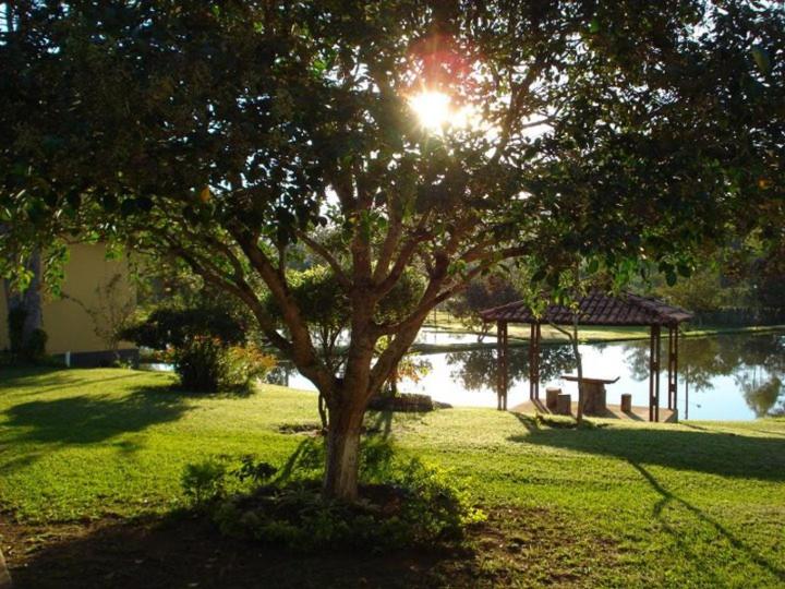 un albero in un campo con gazebo e lago di Sitio Vale do Sol -Seu Descanso recarregando energias a Itajubá