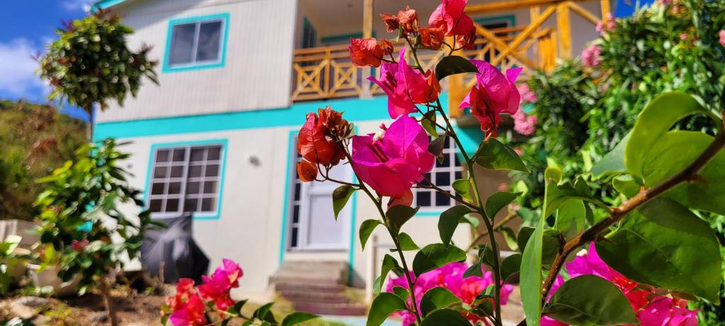 una casa con flores rosas delante de ella en Colorful Garden House, en Providencia