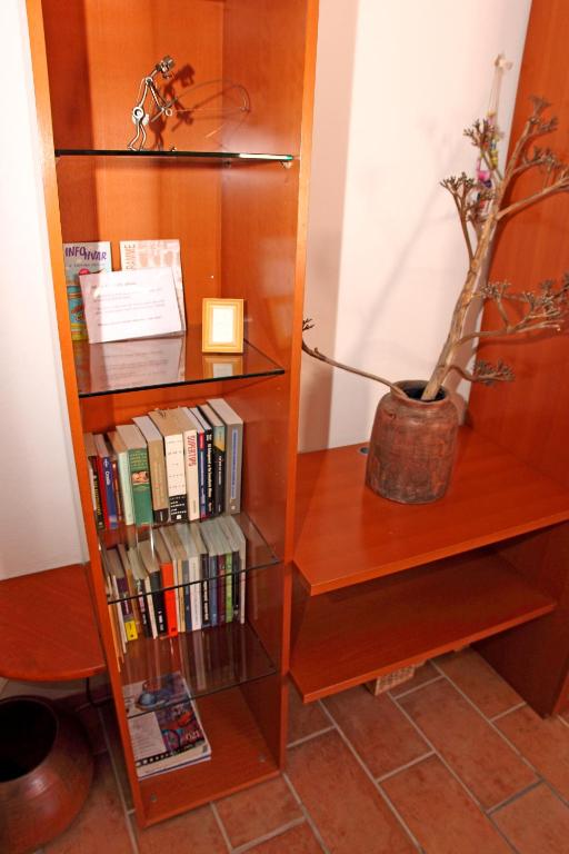 Biblioteka w apartamencie