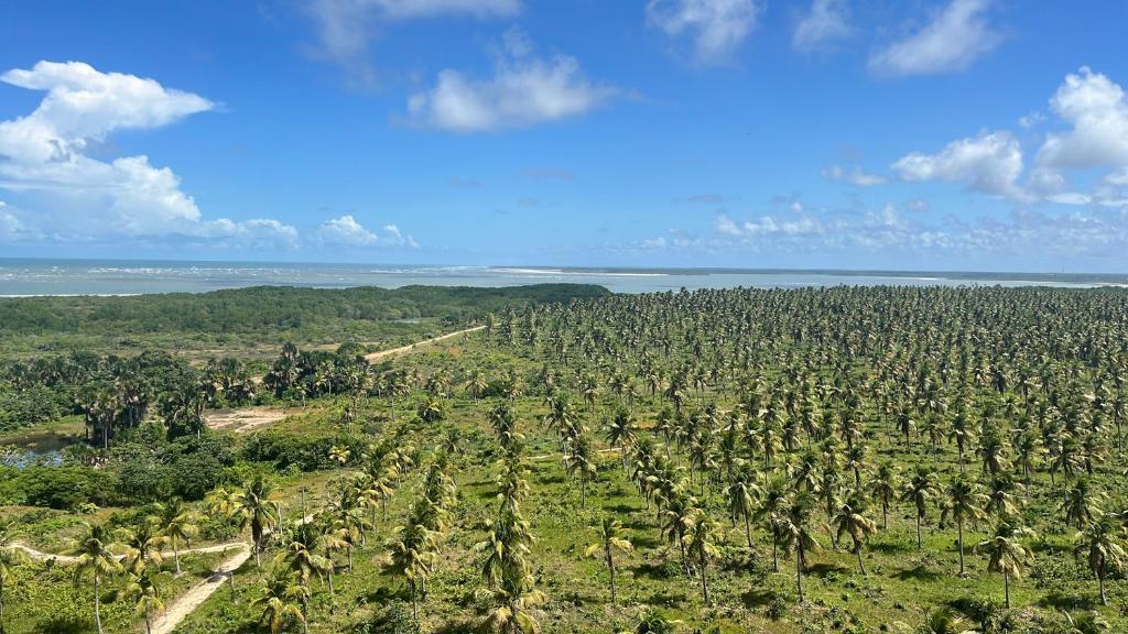 Photo de la galerie de l'établissement Salinas Premium Resort, à Salinópolis