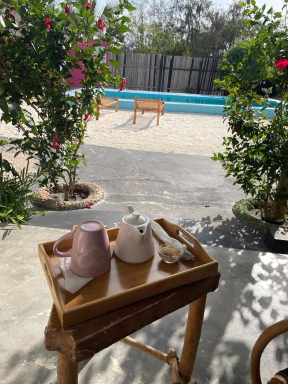 Tribe Bungalows, Bwejuu (updated prices 2024)