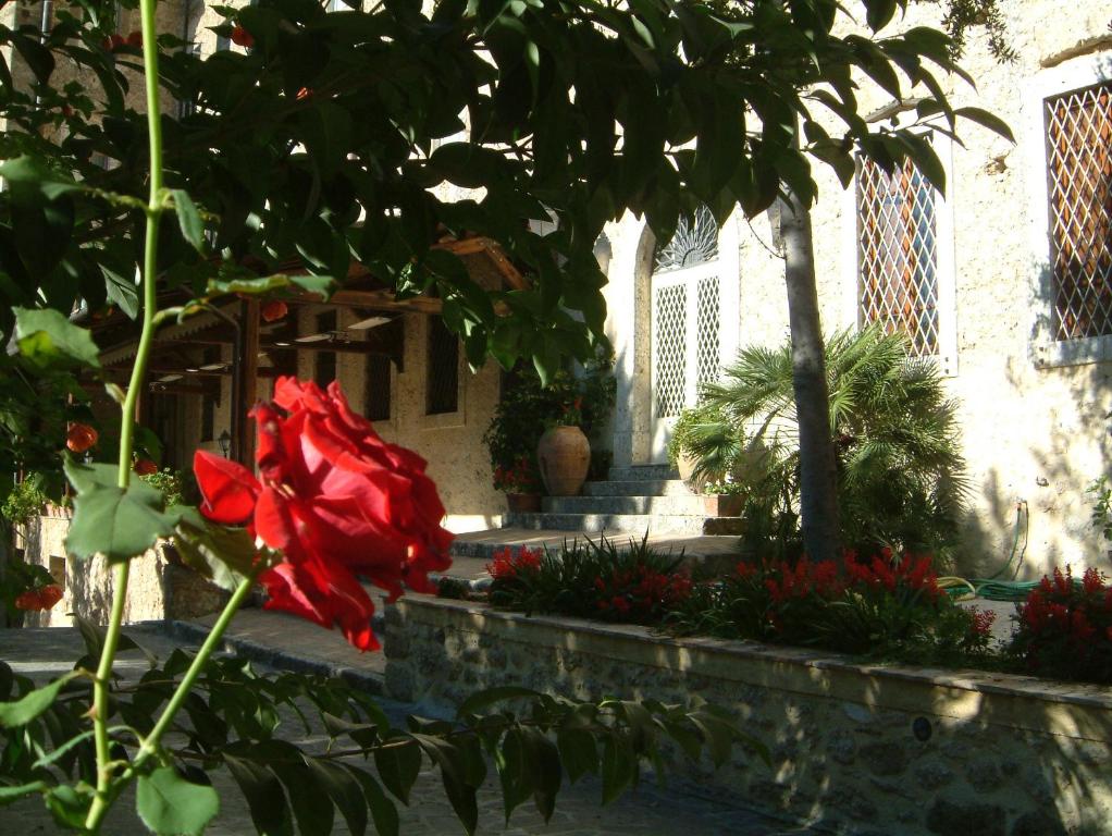 Zahrada ubytování Hotel Il Cavalier D'Arpino
