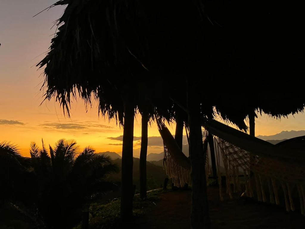 un complejo con palmeras y una hamaca al atardecer en La Cima Tayrona, en Santa Marta