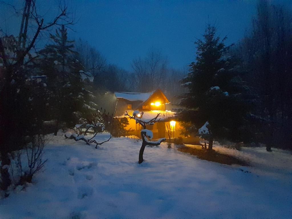 une maison éclairée la nuit dans la neige dans l'établissement Cabana din Padurea Valeni, à Vălenii de Munte