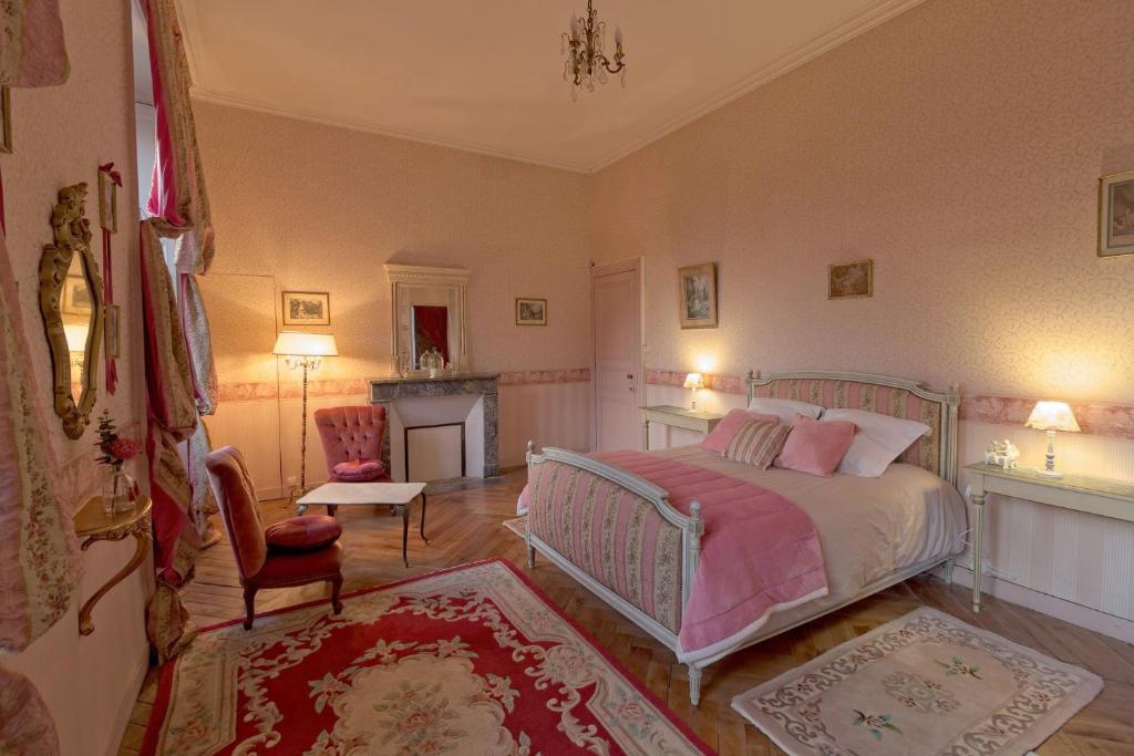 Chateau du Hallay - Large Double Room