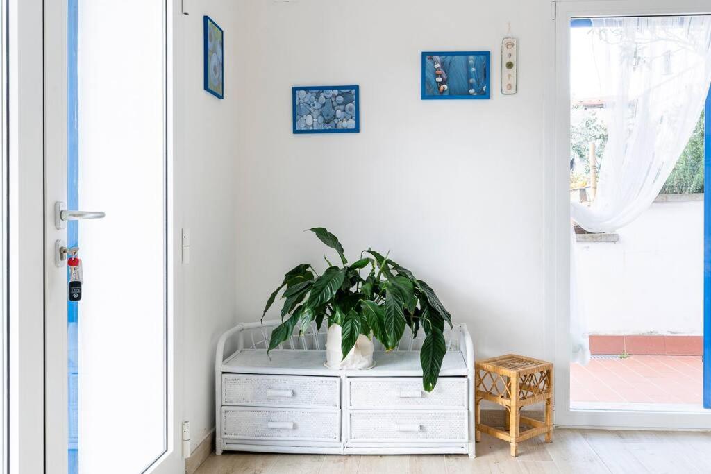 Fotografie z fotogalerie ubytování Rosemary’s Home v destinaci Quercianella