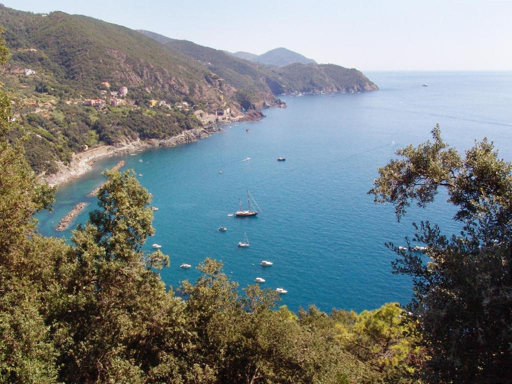 a view of a bay with boats in the water at Sesta Terra in Framura