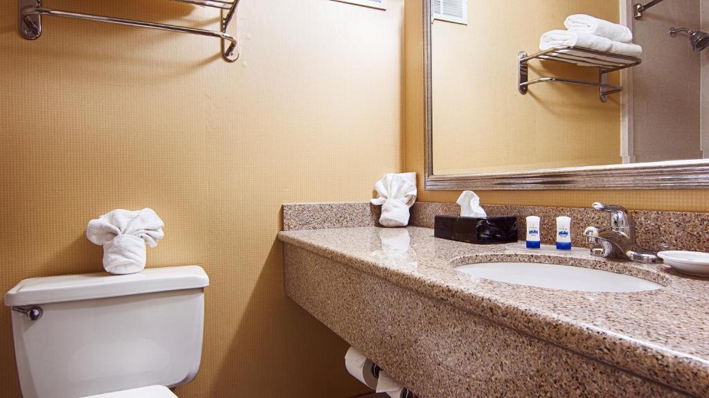 Koupelna v ubytování Quality Inn & Suites East Syracuse - Carrier Circle