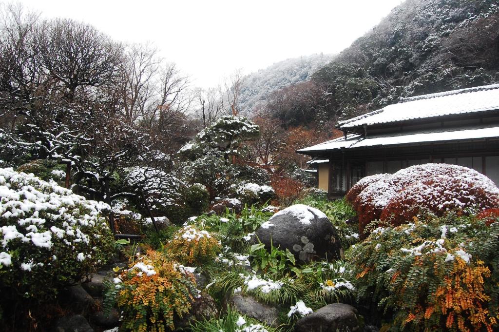 Yoshiike Ryokan v zimě