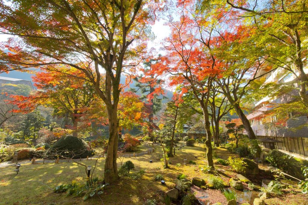 Zahrada ubytování Yoshiike Ryokan