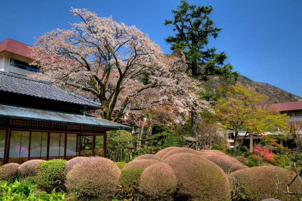 Zahrada ubytování Yoshiike Ryokan