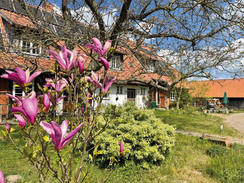 a house with purple flowers in front of a yard at Ferienhof Rauchhaus in Karft