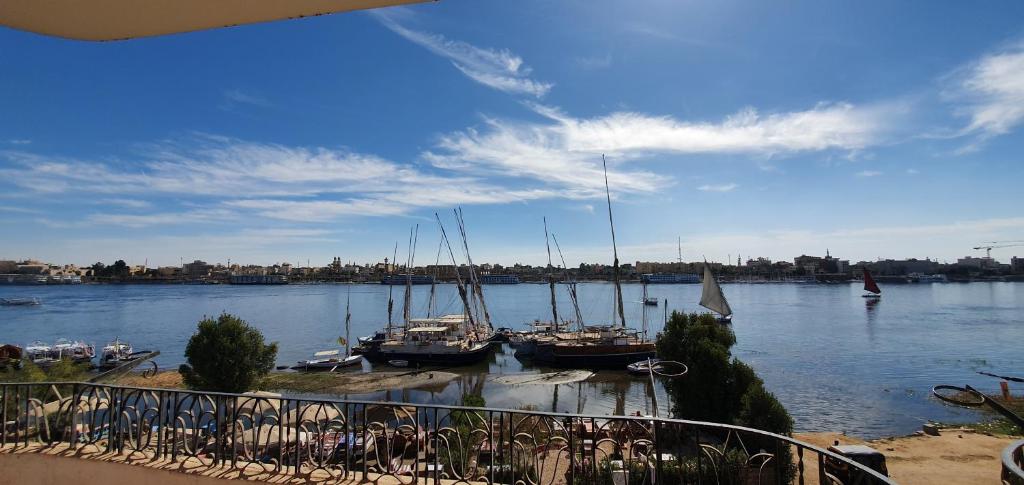 un gruppo di barche è attraccato in acqua di Nile View Panoramique and Garden West bank a Luxor