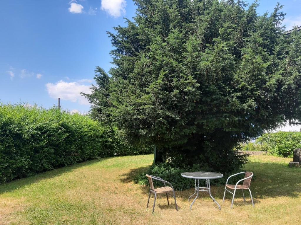 Zahrada ubytování Apartmán Na Kamenu