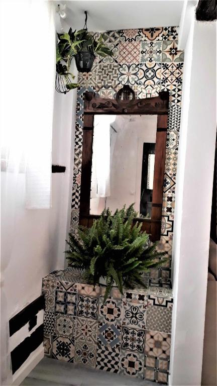 Casa Manuela, Más que una Casa, un Hogar - 17