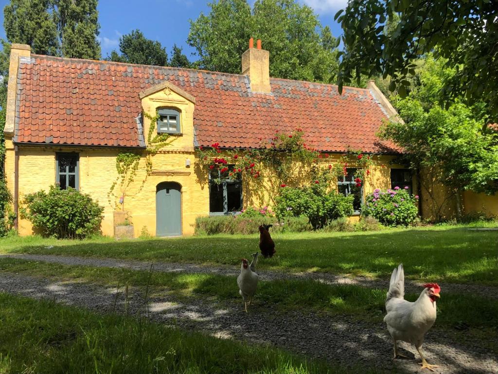 um grupo de galinhas em pé em frente a uma casa em Stijlvolle ruimte in historische boerderij. em Destelbergen