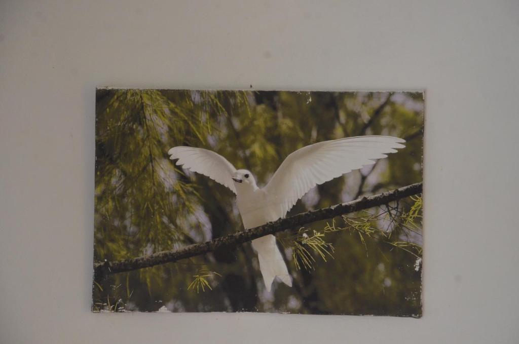 Fotografie z fotogalerie ubytování Butterfly Villas v destinaci Grand'Anse Praslin