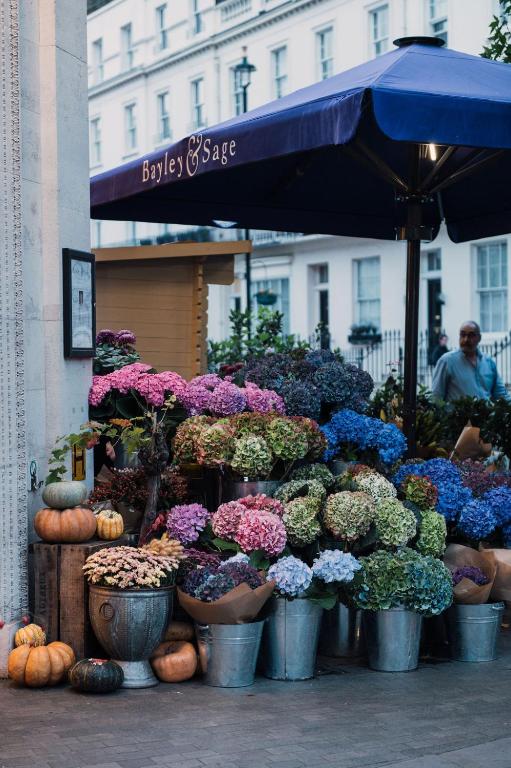 The Tophams Hotel - Resim 29