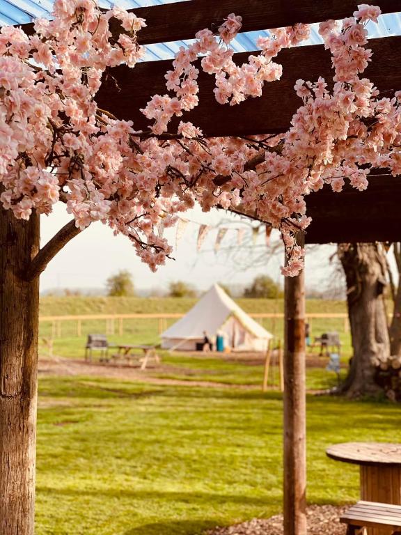 Adult Only Glamping At Willow Grove Farm, Lakenheath Harga Terbaru 2023
