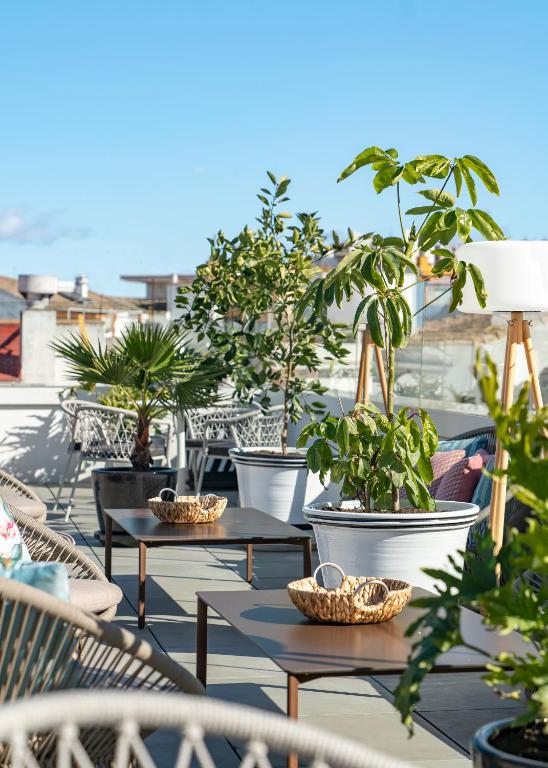 Vincci Molviedro - Resim 19