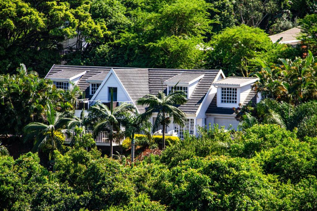 a house in the middle of a forest of trees at Shelbourne Lodge in Durban