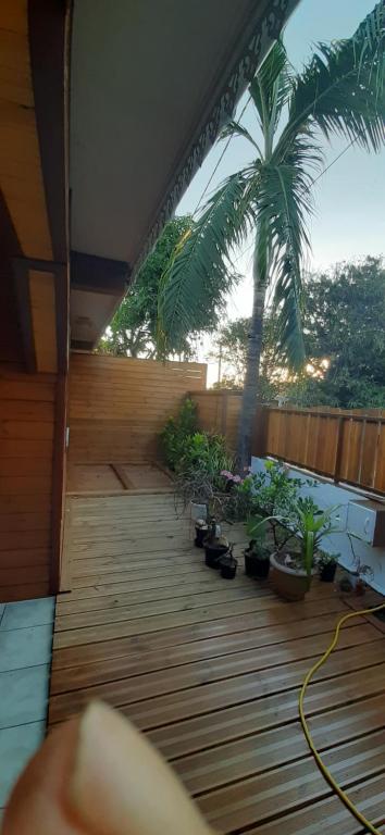 a balcony with potted plants and a palm tree at Meublé de la vallée in Saint-Pierre