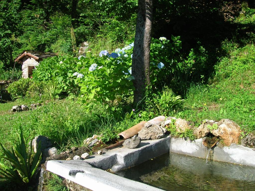 Casa Vacanze IL BOSCACCIO 