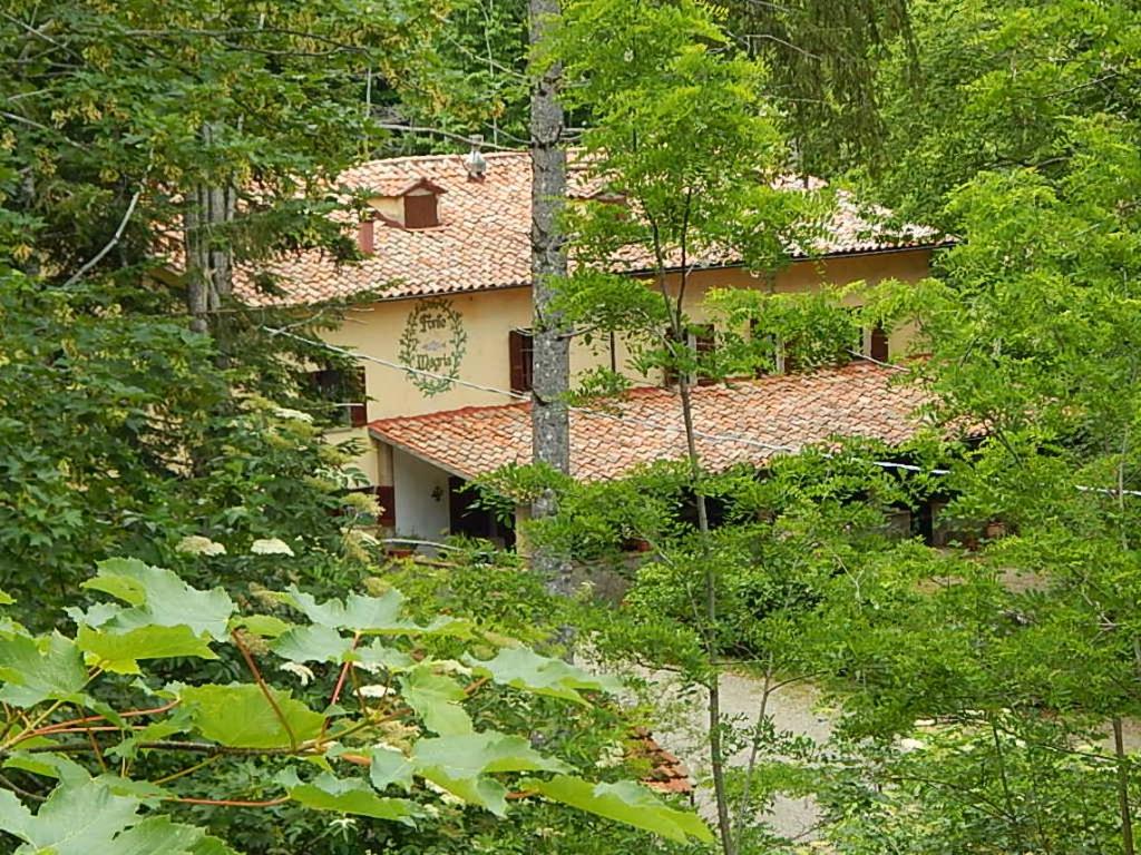 a house in the middle of a forest with trees at Agriturismo Fonte Magria in Abbadia San Salvatore