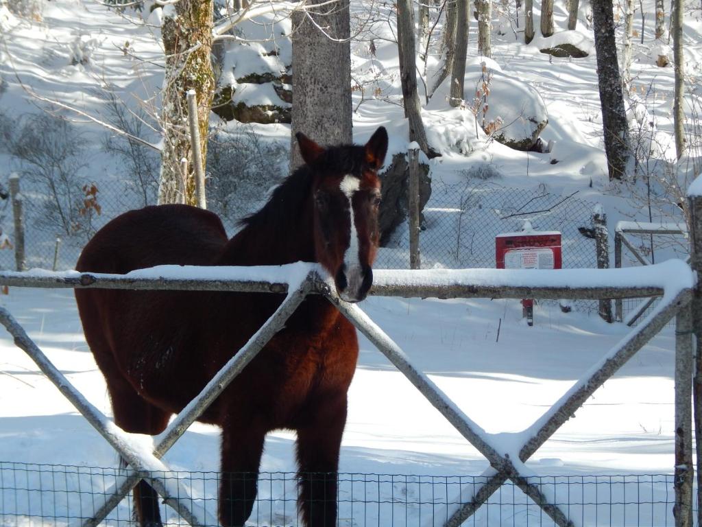 Derechos de imagen reservados por Booking.com