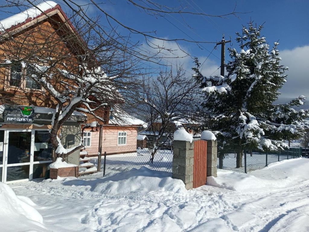 У Андрушка v zimě