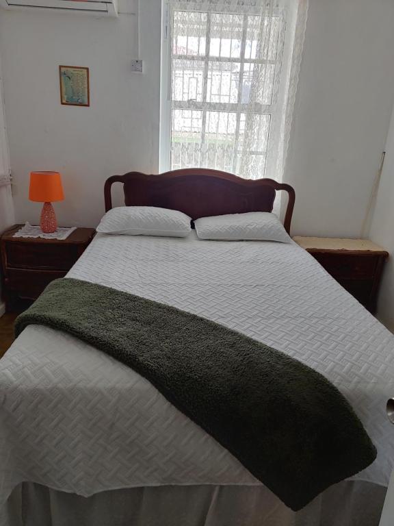 a large bed in a bedroom with a window at A Jewel of A Chalet in Roseau