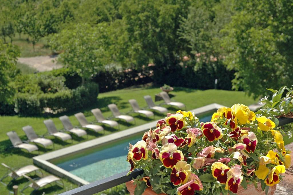 Zahrada ubytování Hotel Palazzo Squarcialupi
