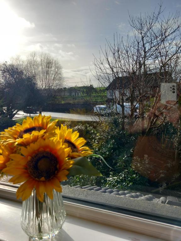 a vase with a sunflower sitting on a window sill at 3 Bedroom Family home in Limavady