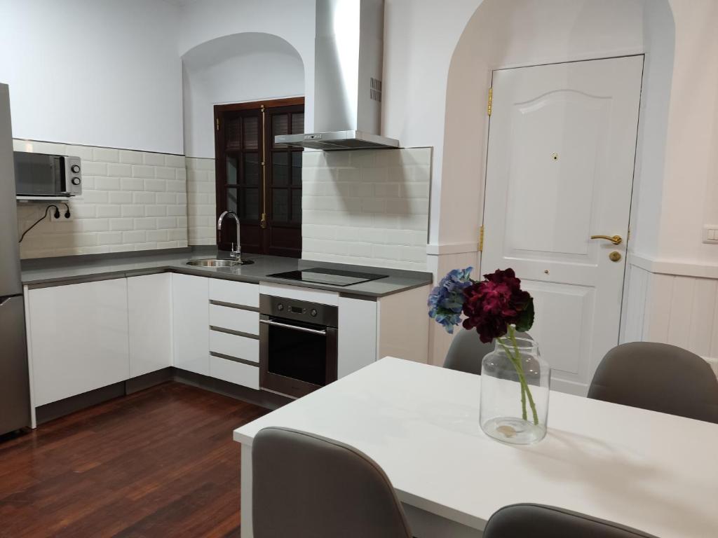 Kuchyň nebo kuchyňský kout v ubytování Apartamentos BARBAS
