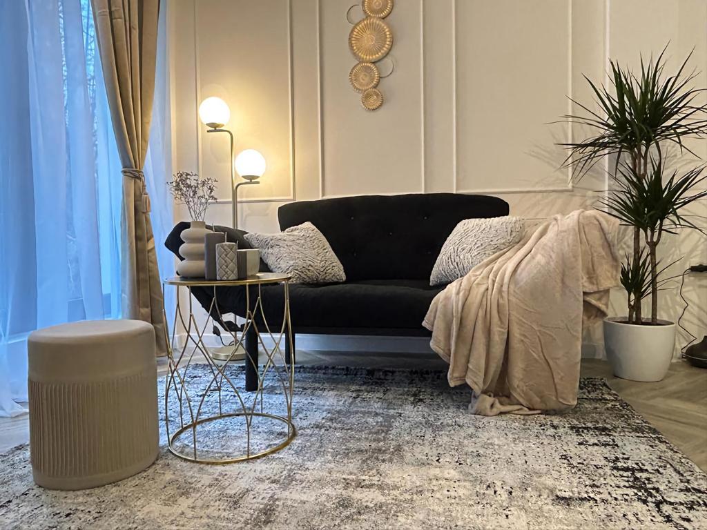 a living room with a black couch and a rug at Luxury Mansion in Bucharest