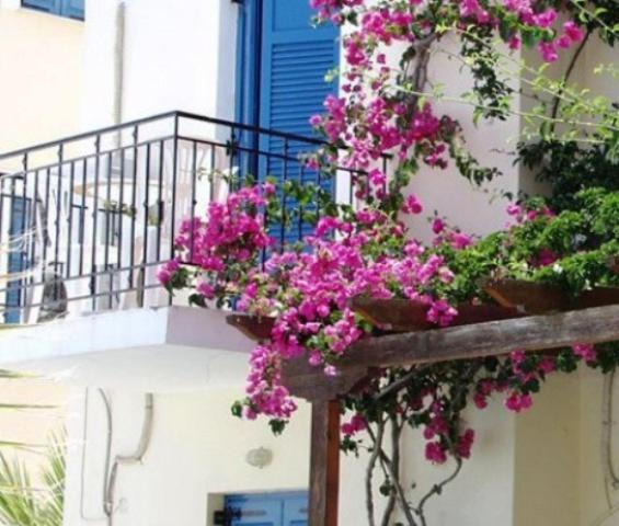 Balkón nebo terasa v ubytování Lianos Hotel Apartments