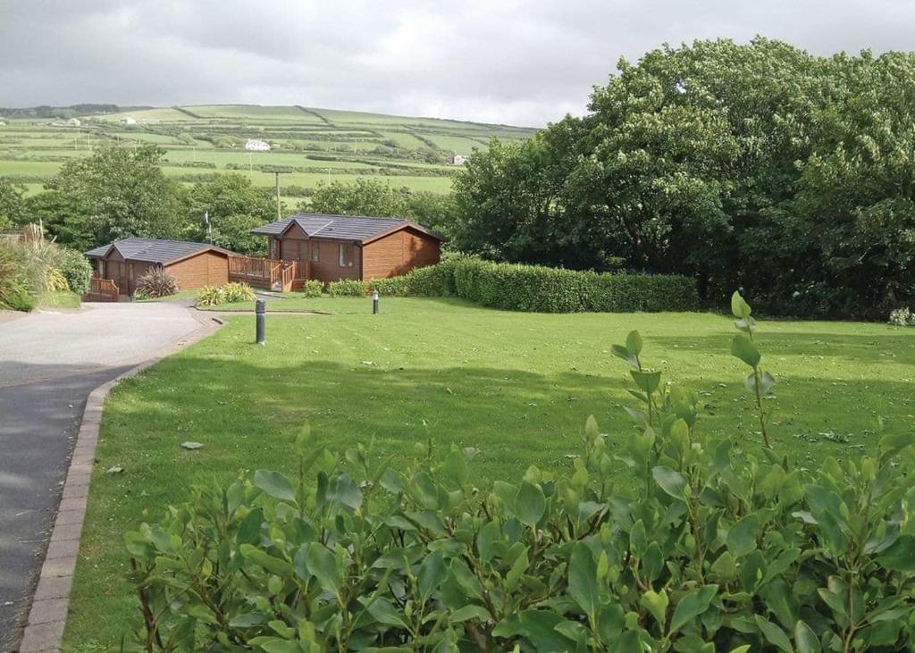 a grassy yard with a house and a road at Bossiney Bay in Tintagel