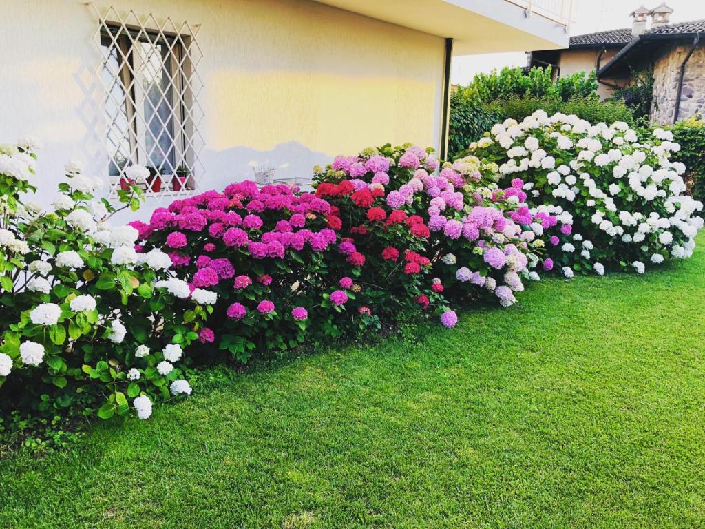 Bed and Breakfast da Beatrice - 14