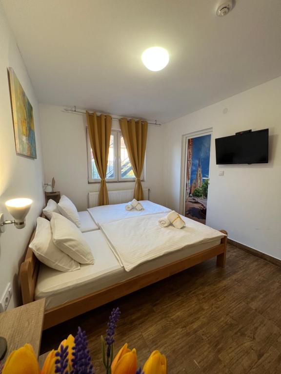 um quarto com uma cama grande e uma televisão em Villa Klara em Novi Sad