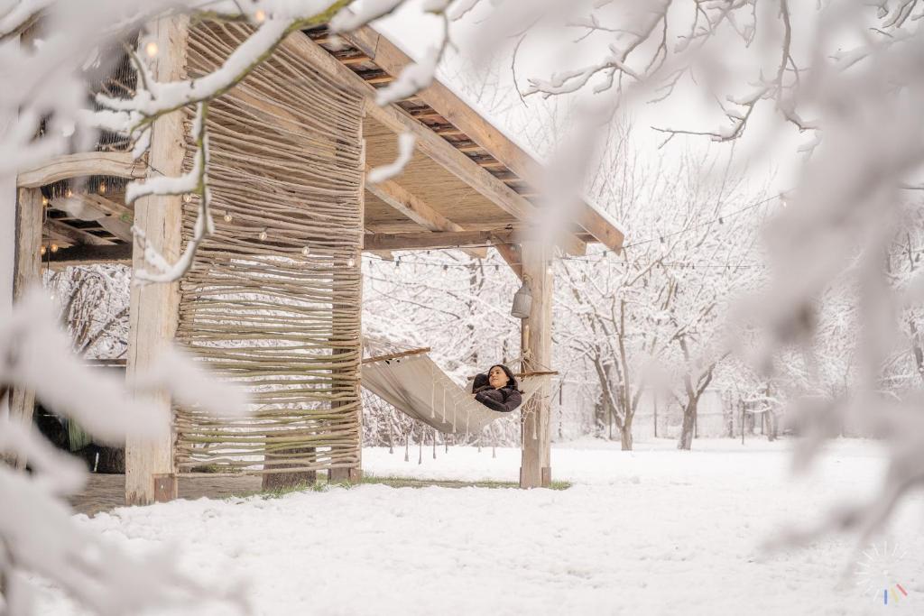 a woman sitting on a hammock in the snow at Conacu Iancu in Ginta