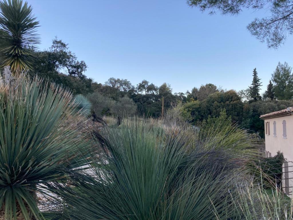 Zahrada ubytování BASTIDE DE RAMATUELLE
