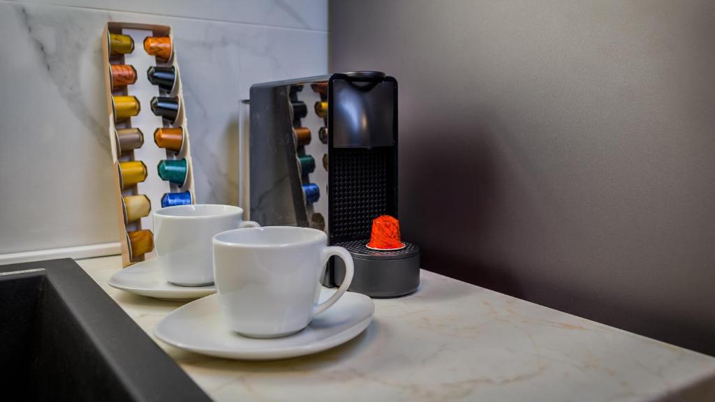 President Apartment with Sauna - 19