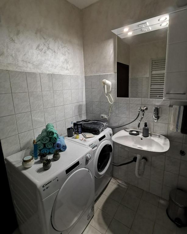 Un baño con lavadora y lavabo. en Midori Zlatar, en Nova Varoš