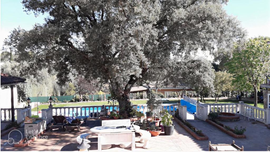 a patio with a tree and a table and chairs at Lovely home, cozy corner in el Bosque, Madrid. in Villaviciosa de Odón