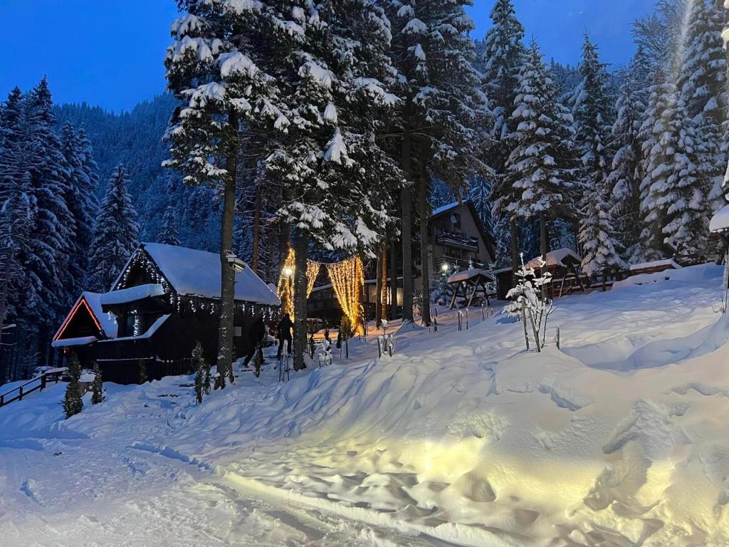 een hut in de sneeuw met bomen en lichtjes bij Complex Balea in Cumpăna