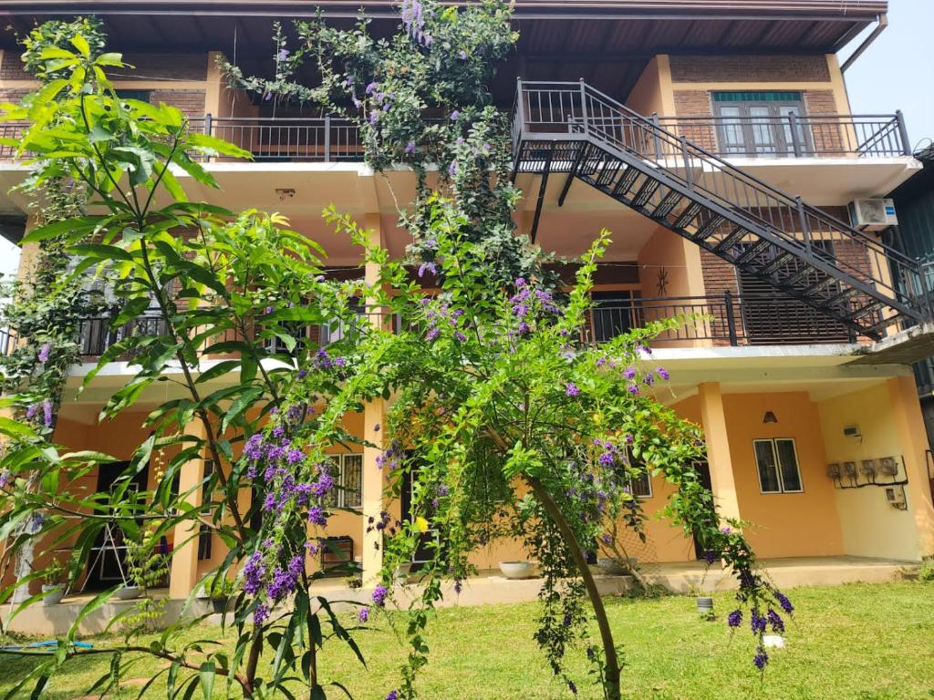 Zahrada ubytování Serene Inn Kandana